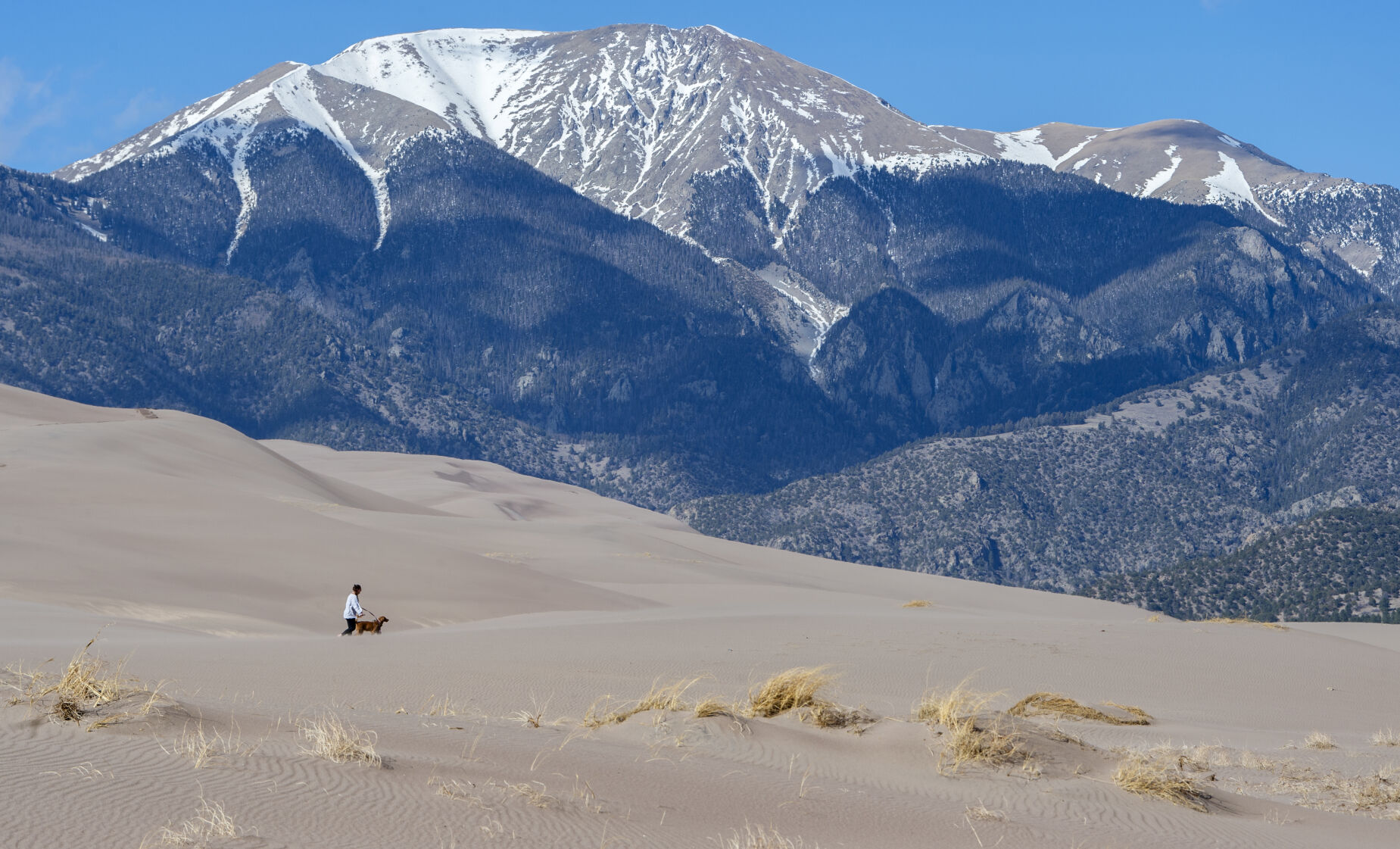 04_07_21 sand dunes1181.jpg